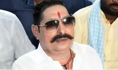 Anant Singh: 'JDU की बैठक में निशांत को लेकर कोई चर्चा नहीं हुई' अनंत सिंह ने बताई मीटिंग के अंदर की बात