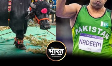 करोड़ों की प्राइज मनी के बाद अरशद नदीम को तोहफे में मिलेगी भैंस