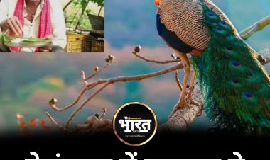 तेलंगाना में यूट्यूबर ने बना दी मोर की करी