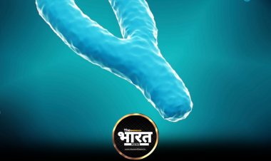 धरती से खत्म हो जाएंगे मेल क्रोमोसोम