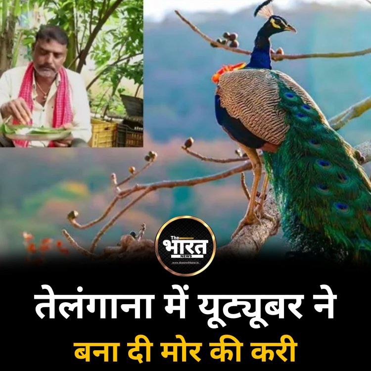 तेलंगाना में यूट्यूबर ने बना दी मोर की करी