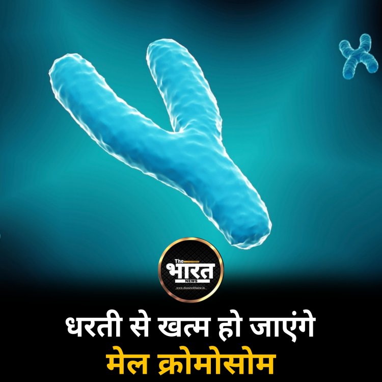 धरती से खत्म हो जाएंगे मेल क्रोमोसोम