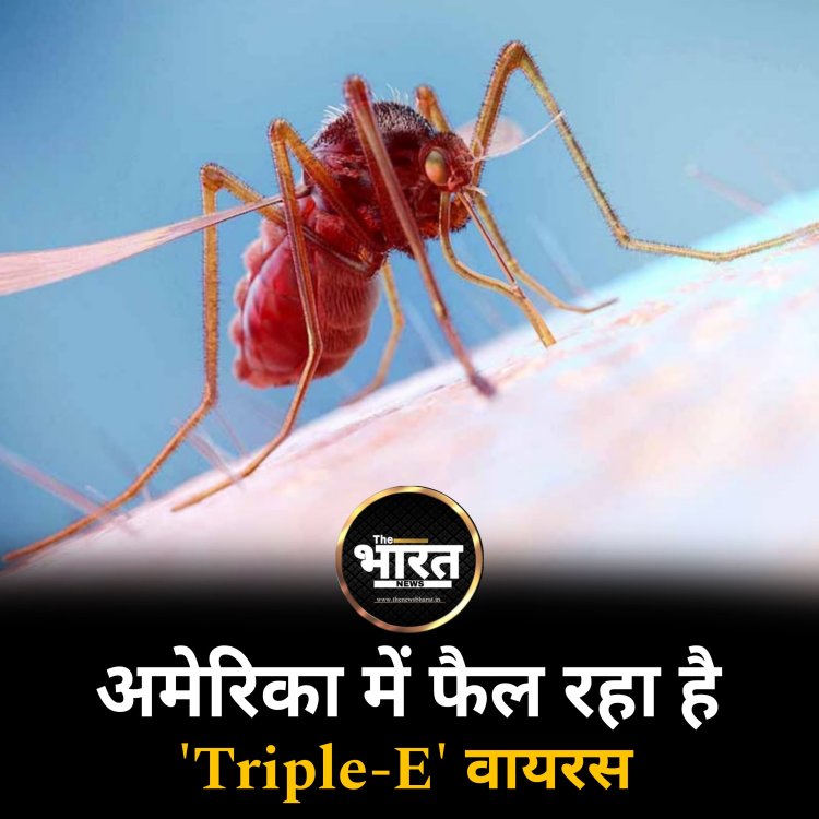 अमेरिका में फैल रहा है 'Triple E' वायरस