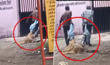 इंसानियत शर्मसार! लाश के पैरों को कपड़ा बांधकर घसीटते दिखे दो शख्स, झांसी के मेडिकल कालेज के पोस्टमार्टम हाउस का वीडियो आया सामने
