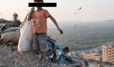 शोषण से मुक्त कराए गए 23,530 बच्चे चाइल्ड लेबर से जुड़े थे, सबसे ज्यादा डराने वाले हैं इस राज्य के आंकड़े