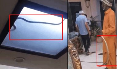 नोएडा में 5 फीट लंबे कोबरा की गजब दहशत! 36 घंटे घर में कैद रहा चौधरी परिवार, जानिए कैसे बची जान