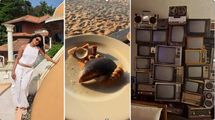 प्रियंका चोपड़ा ने गोवा से दिखाई 20 तस्वीरें, खाने की प्लेट में सीप देख लोगों ने पूछा- आप इसे खाने जा रही हैं?