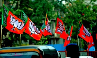 RJD कांग्रेस के MP या MLA नहीं, बीजेपी के टार्गेट पर विरोधी दलों के संगठन वाली जड़ें, समझिए कैसे