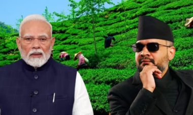 India Nepal: भारतीय सीमा पर सड़ रही 13 लाख किलो नेपाली चाय, ऐक्‍शन में आई बालेन सरकार, भारत से करेगी बात